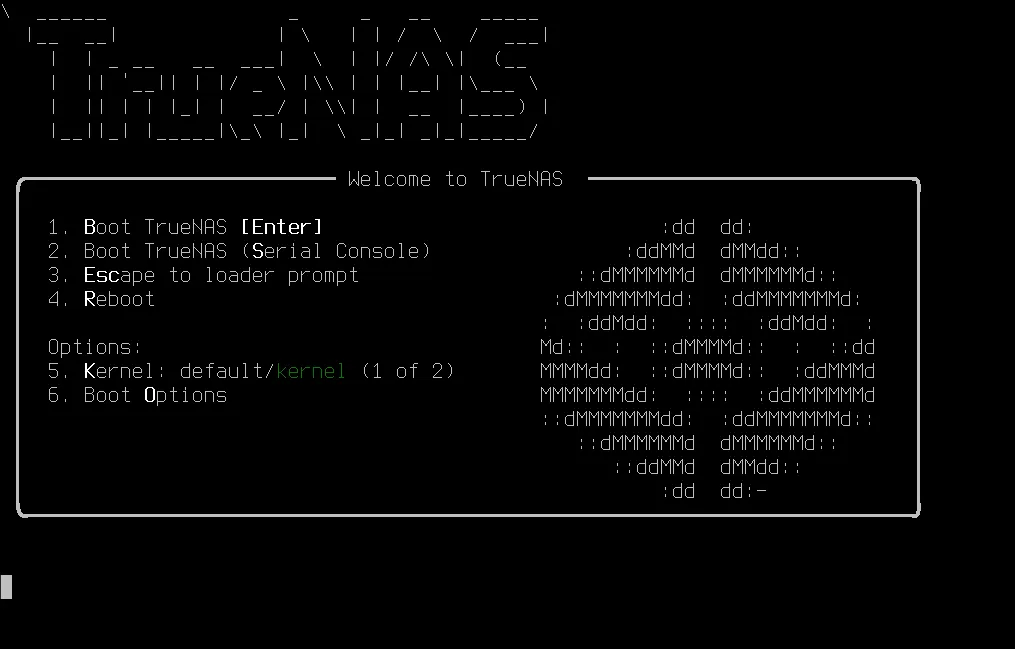 TrueNAS Welcome Menu